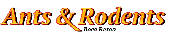 Boca Raton Ant Exterminator & Rodent Control Company Logo